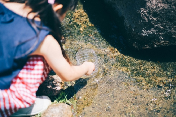 この夏の川遊びスポットは銚子川 犬と一緒に遊べるの 子供は安全に遊べる みんなの夏休み